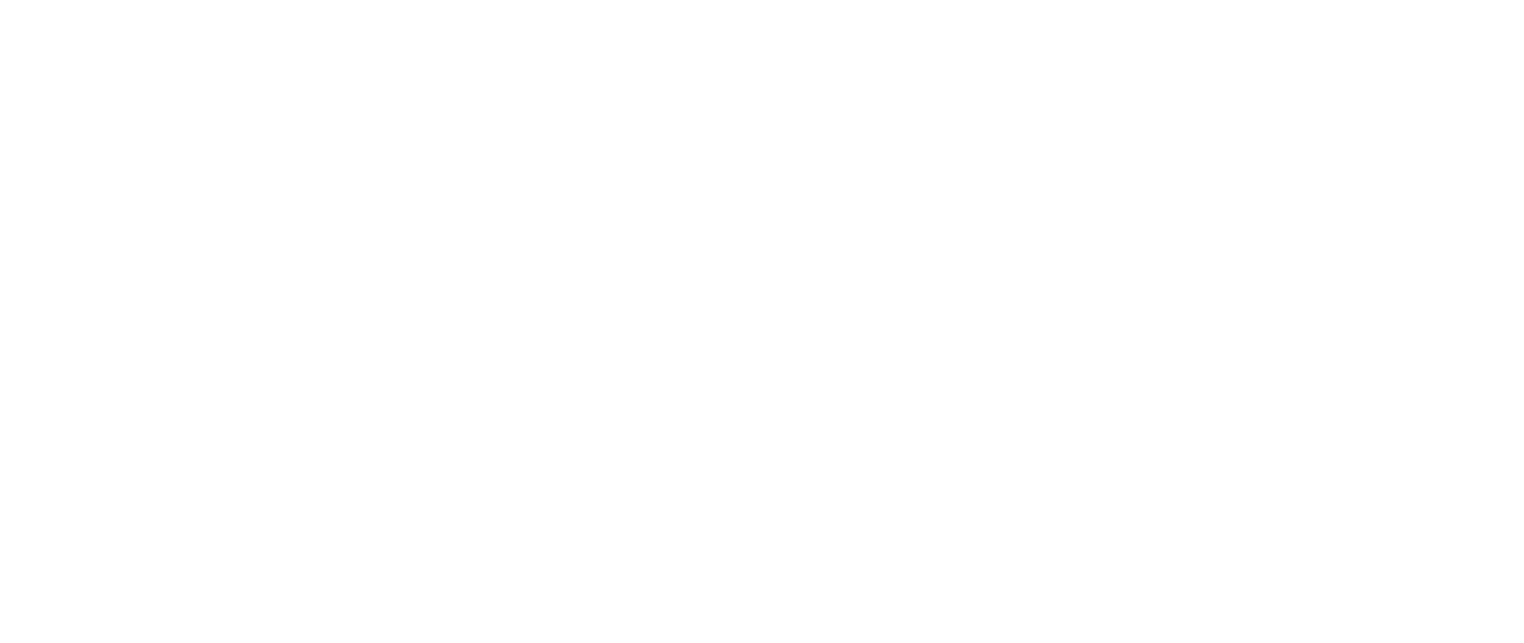 Toast Destroyer Logo